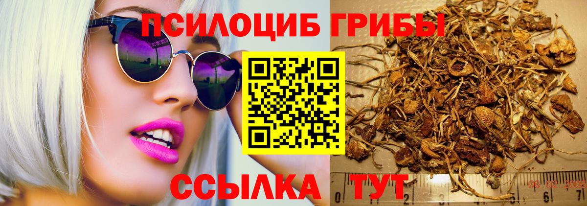 Галлюциногенные грибы ЛСД  Вход с VPN  Наро-Фоминск  Галлюциногенные грибы Psilocybe 