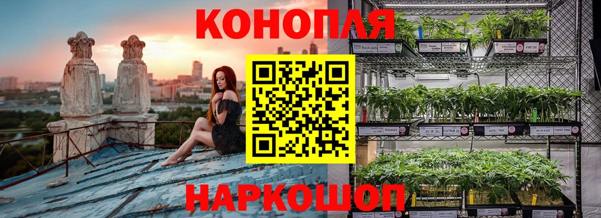 Бошки Шишки ГИДРОПОН  Канабис MAZAR  Вход с VPN  Наро-Фоминск  Бошки марихуана сатива 